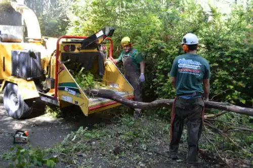 tree services New Hartford